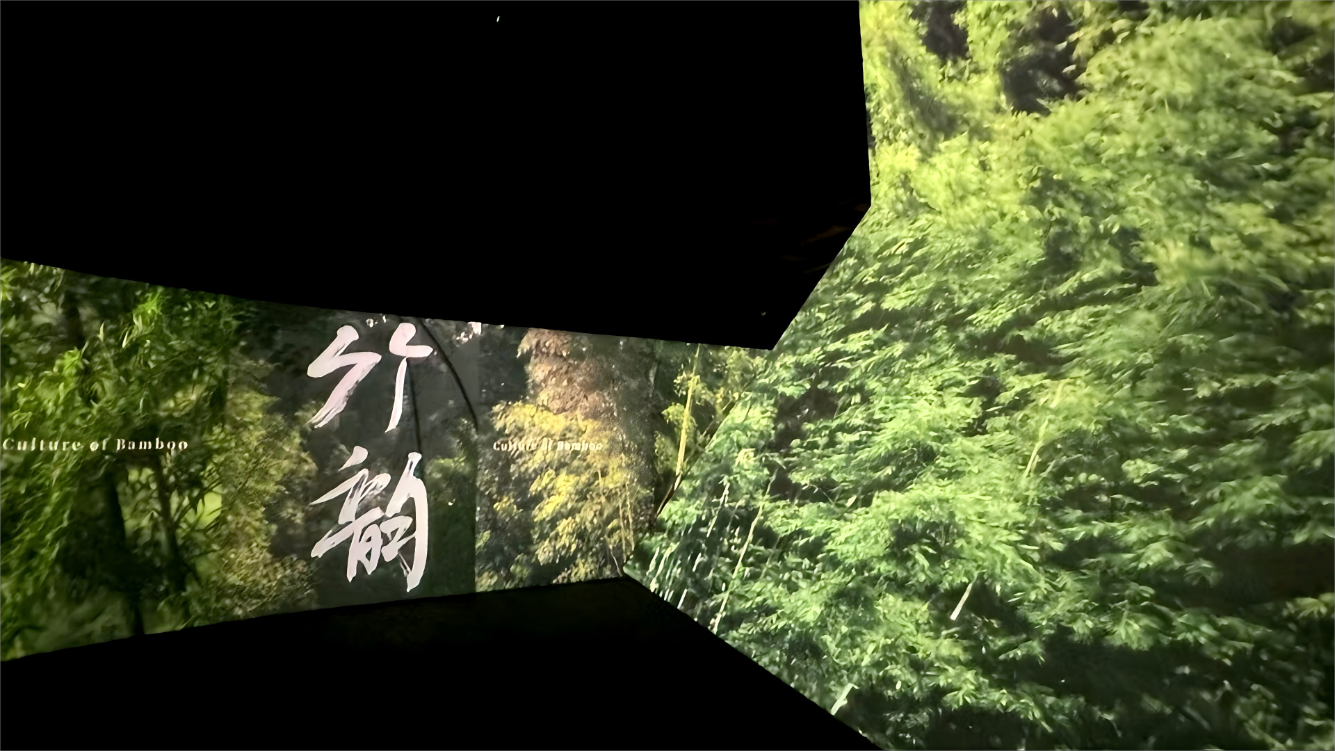 数字山水与生态叙事——沉浸式数字艺术介入「绿美广东」时代命题